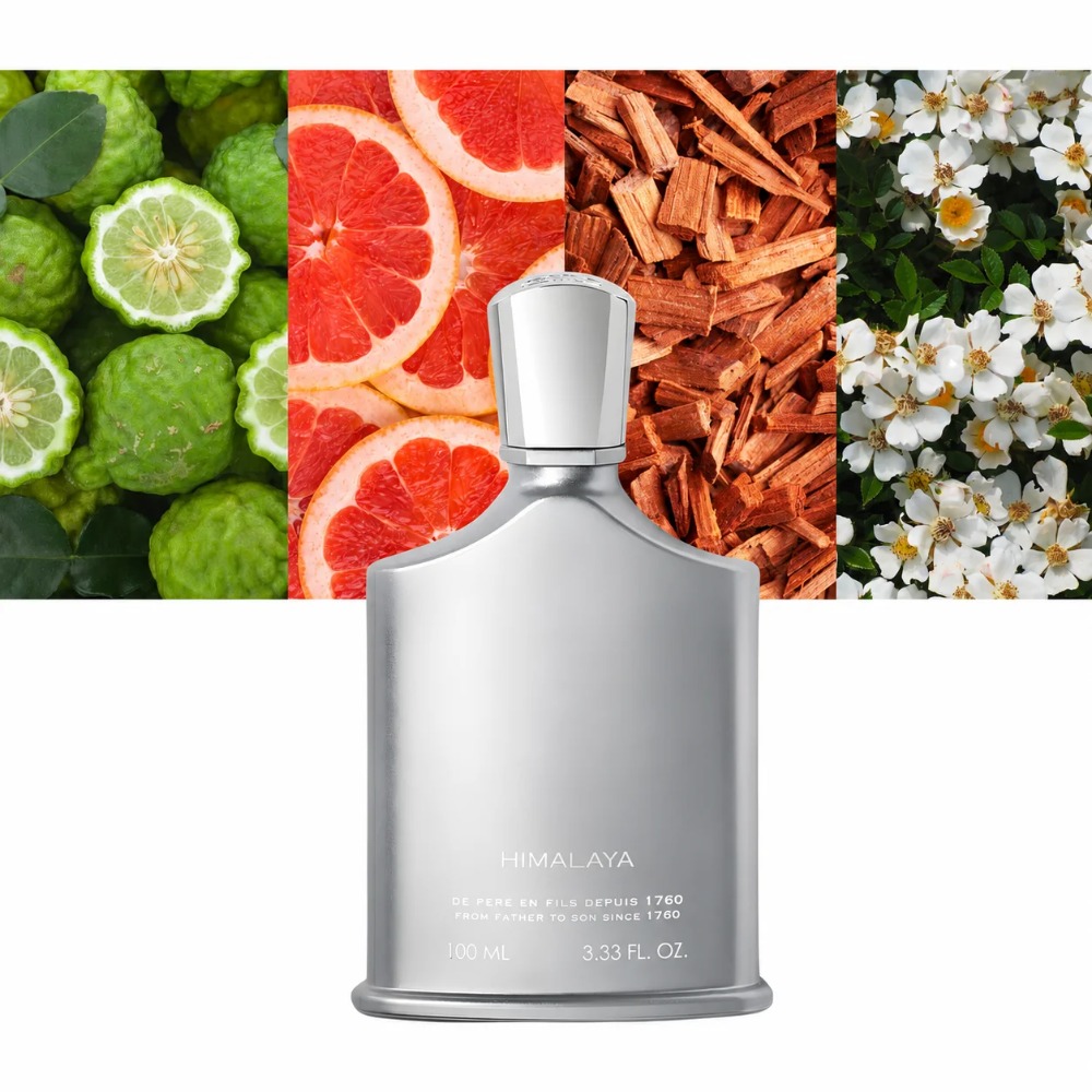 Perfume Aventus para Homens 10 - Perfume And Fragrance avaliação e preço
